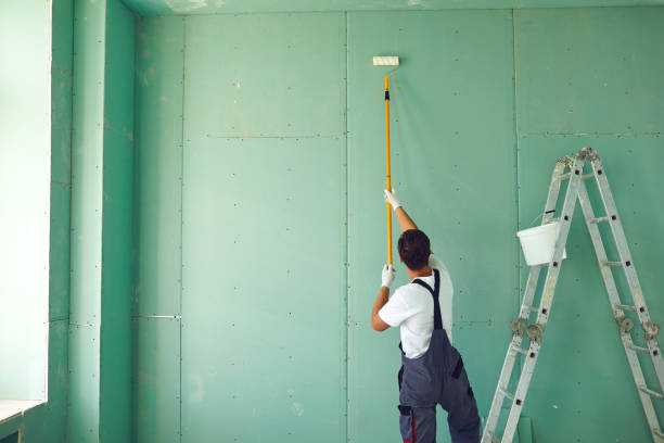 Environmental Consulting for Mold Prevention in Beeville, TX