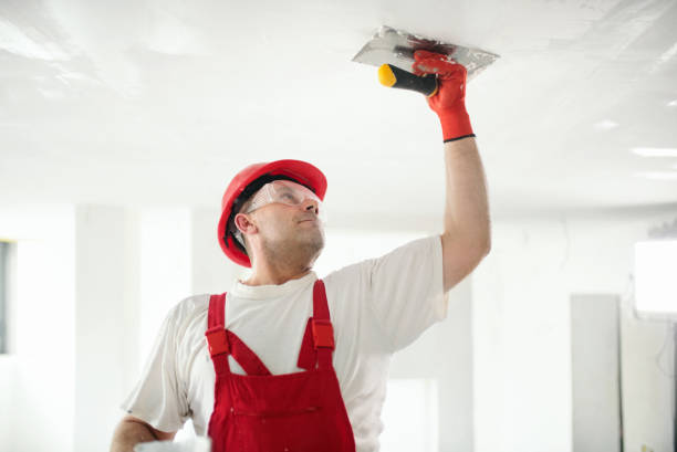 Best Forensic Mold Investigation  in Beeville, TX