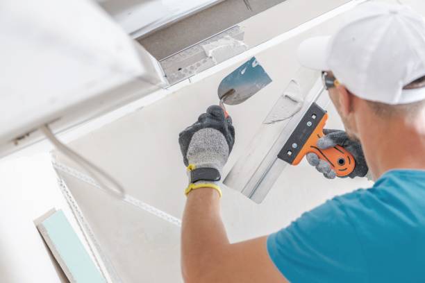 Best Commercial Mold Inspection  in Beeville, TX